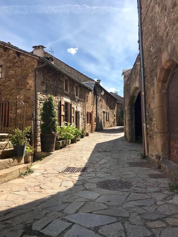 La Petite Maison Des Artistes Castelnau-Pégayrols Pokój zdjęcie