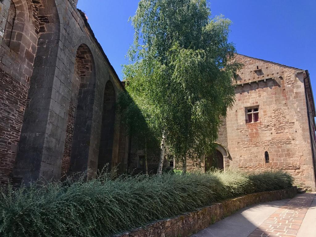 La Petite Maison Des Artistes Castelnau-Pégayrols Pokój zdjęcie