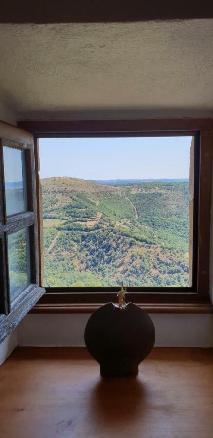 La Petite Maison Des Artistes Castelnau-Pégayrols Zewnętrze zdjęcie